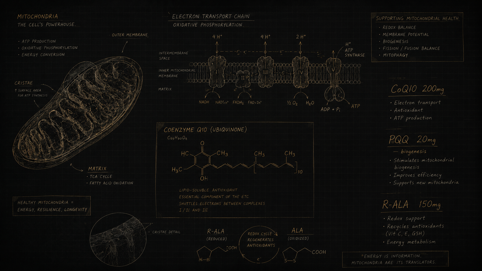 MITOCORE formulation research